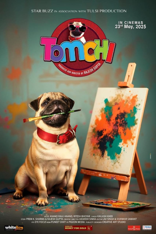 Tomchi